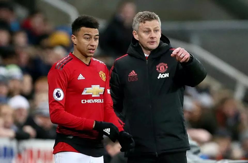 还为其职业 还为其职业